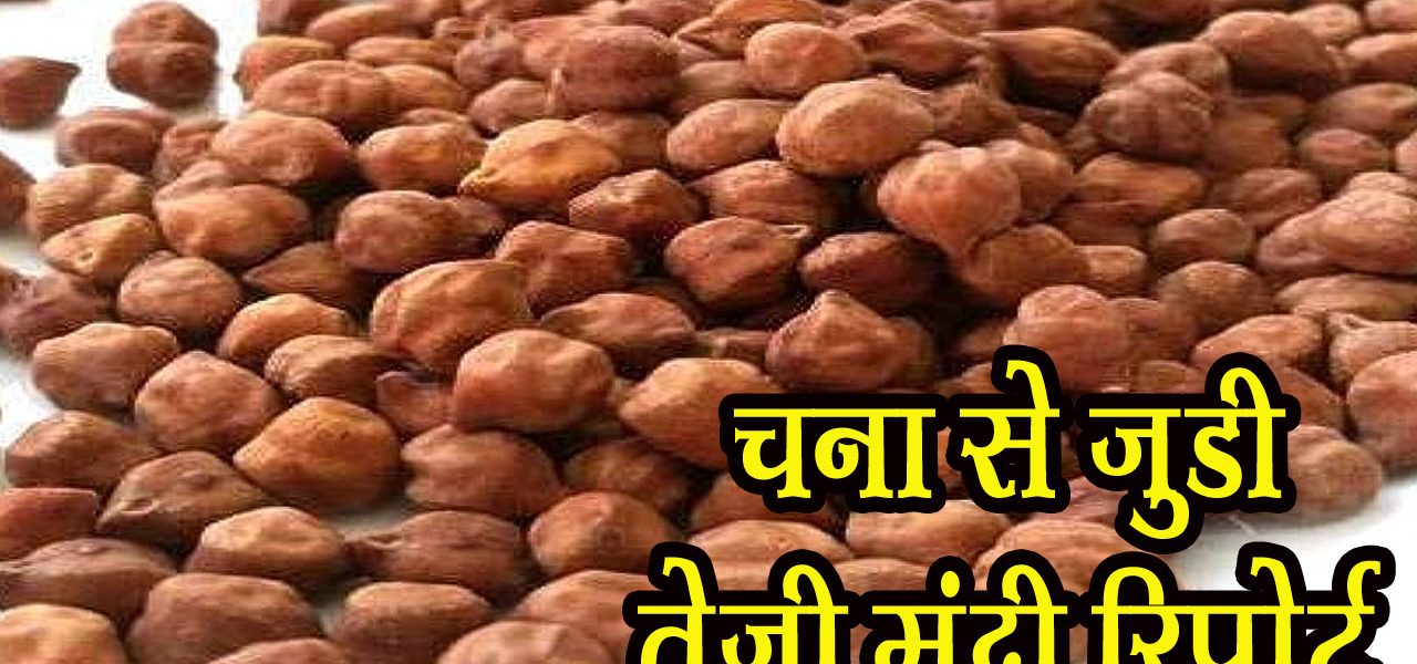 chana teji mandi report