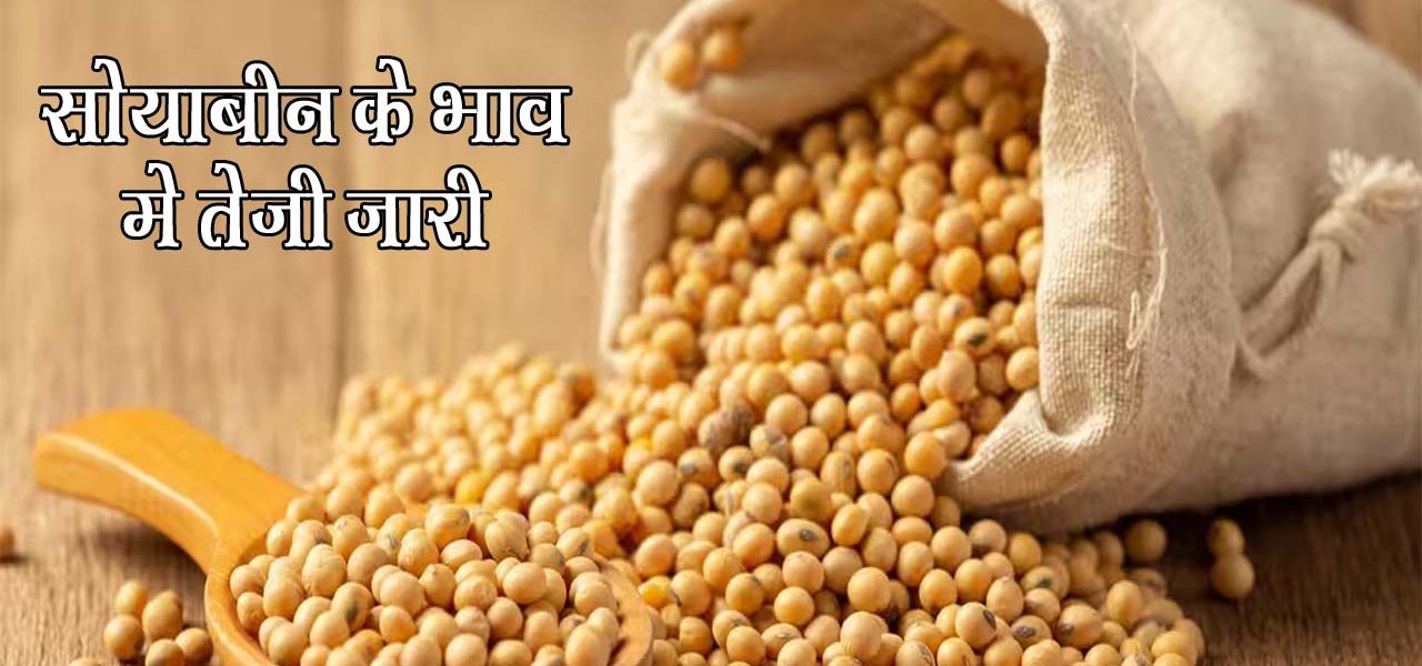 soybean ka bajar bhav