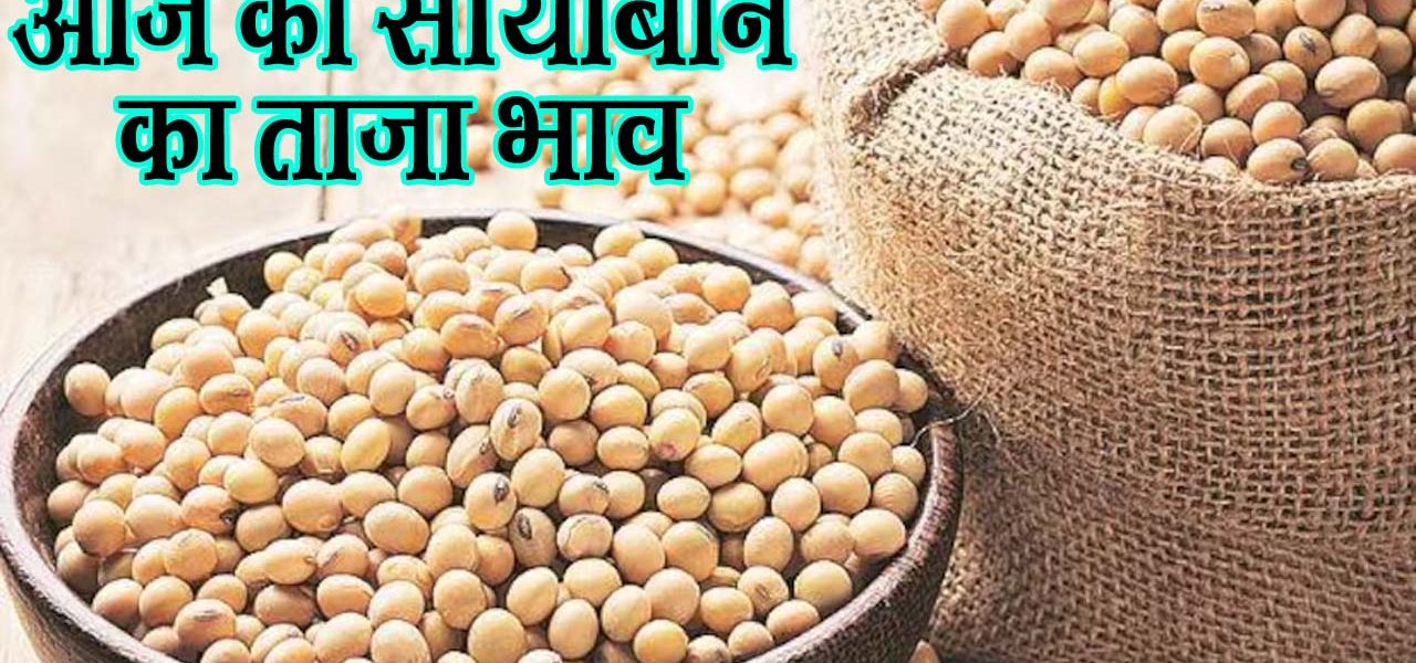 soybean ka taja bhav