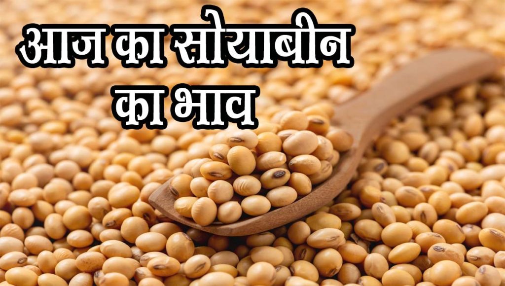 soybean ke bhav