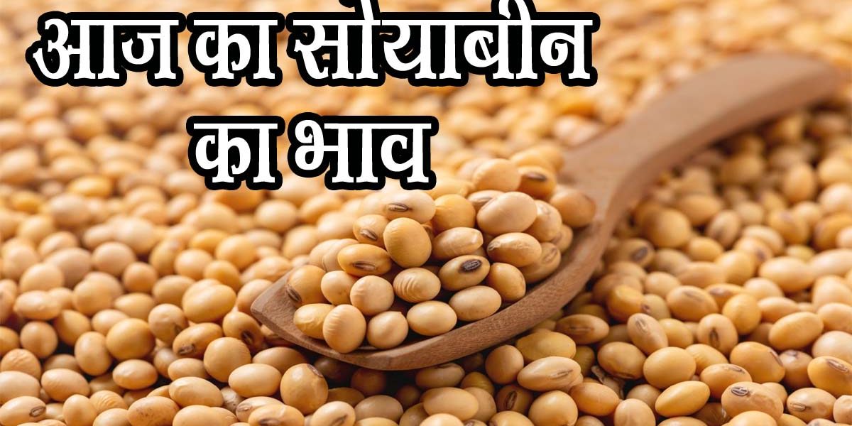 soybean ke bhav